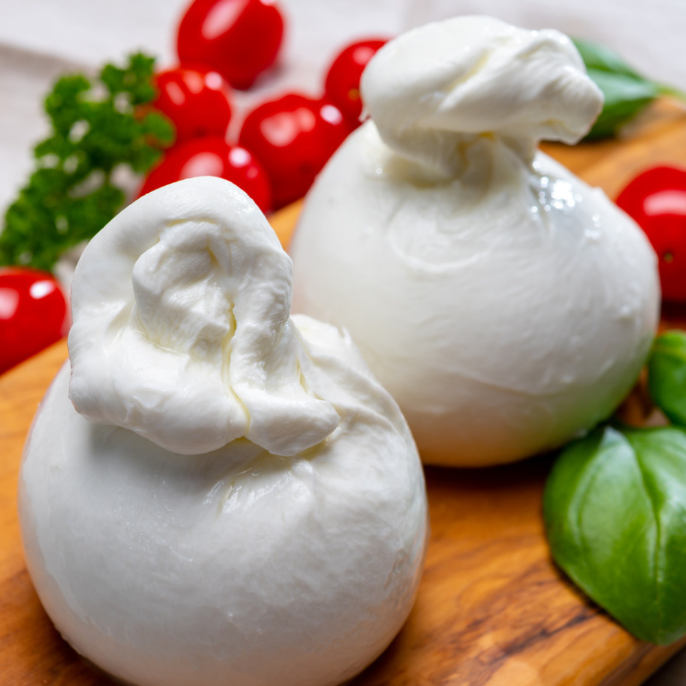Fresh burrata and mozzarella cheese on board